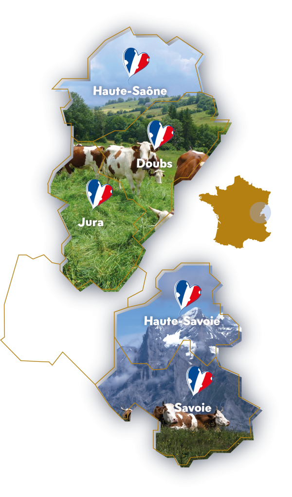 CarteRegions